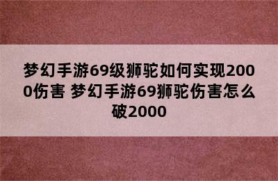 梦幻手游69级狮驼如何实现2000伤害 梦幻手游69狮驼伤害怎么破2000